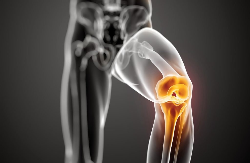 La articulación de la rodilla